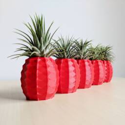 Bulk Wholesale - Set Of 5 Pineapple Air Plant Holders, Airplant, Geometric Plant, Pot Wedding Favors - thumbnail 2