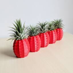 Bulk Wholesale - Set Of 5 Pineapple Air Plant Holders, Airplant, Geometric Plant, Pot Wedding Favors - thumbnail 3