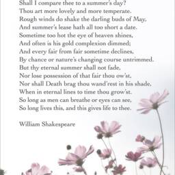 Shakespeare Sonnet 18 Print Fine Art Poetry Illustration - thumbnail 2