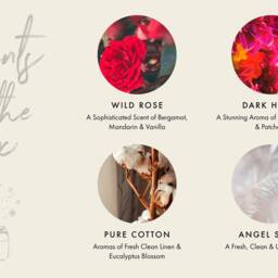 Congratulations Gift Set Perfume Scented Soy Candles & Wax Melts - thumbnail 4