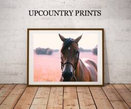 Horse Photograph Print Farmhouse Wall Art - Digital Download - thumbnail 1