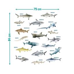 Shark Wall Stickers, Underwater Decals, Whale Stickers For Walls, Themed Room, Ocean Named Sharks - thumbnail 3