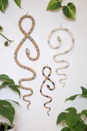 Carter + Rose, Wall Snake Starter Set - thumbnail 1