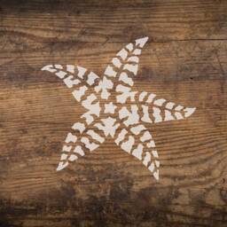 Striped Starfish Stencil - Wall Art Stencil Instead Of Decals Easy To Use Wall For A Quick Room Update Nautical - thumbnail 3