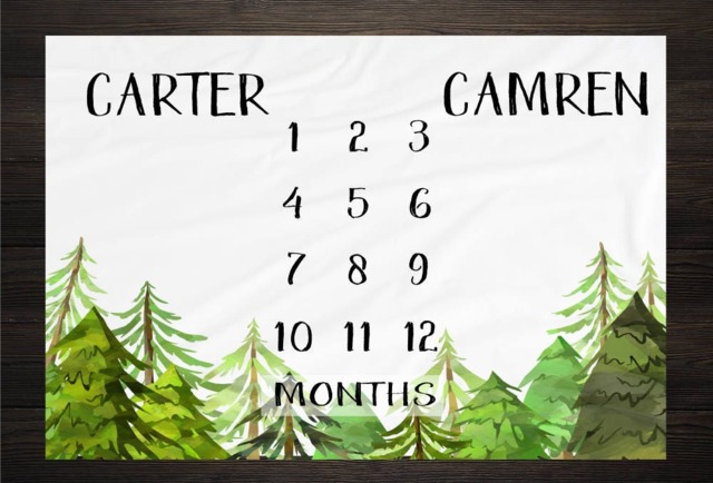 Twin Baby Milestone Blanket Month Growth Tracker Fleece Shower Newborn Gift Minky Boy Girl - image 1
