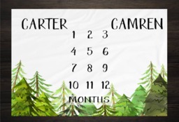 Twin Baby Milestone Blanket Month Growth Tracker Fleece Shower Newborn Gift Minky Boy Girl - thumbnail 1