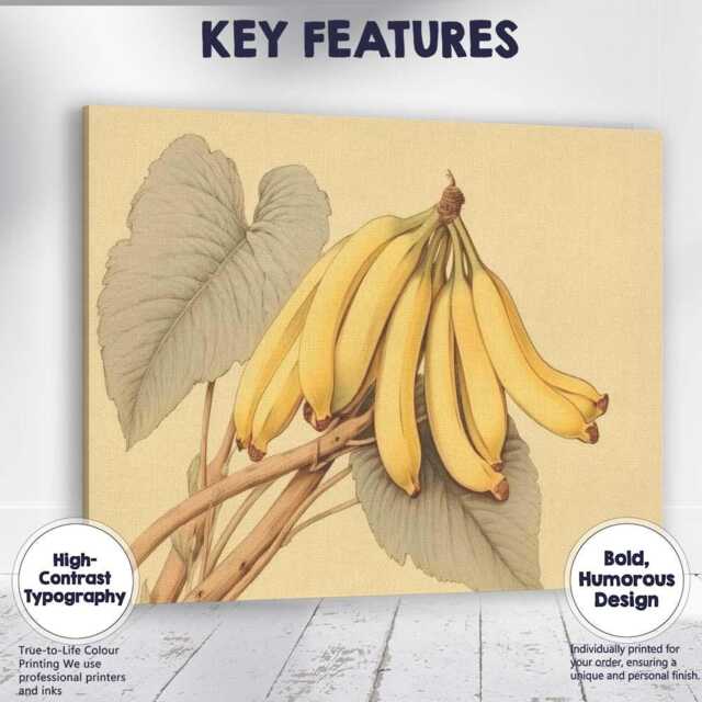 Vintage Botanical Banana Bunch Illustration Canvas Wall Art Print Decor Picture Ready To Hang - image 1