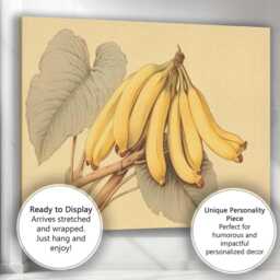 Vintage Botanical Banana Bunch Illustration Canvas Wall Art Print Decor Picture Ready To Hang - thumbnail 3