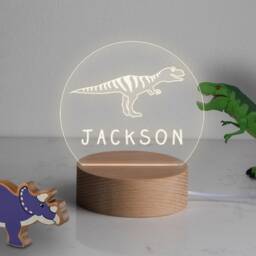 Personalised Dinosaur Stegosaurus Lamp/Night Light For Children Gifts Girls Or Boys - thumbnail 1