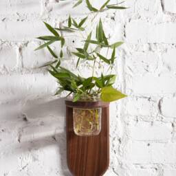 Propagation Wall Sconce - thumbnail 4