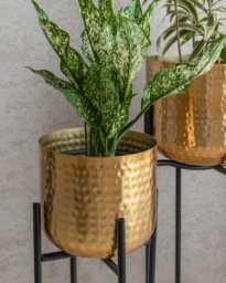 Indoor Iron Hammered Planter - Pot Only