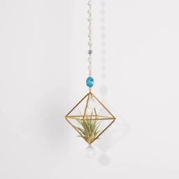 White Howlite Hanging Air Plant Holder With Prism, Hanger, Display, Lover Gift, Decor - thumbnail 1
