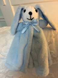 Baby Blue Snugglebuddie