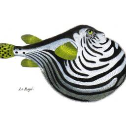 Puffer Fish Print Tropical Wall Art Coral Reef - thumbnail 4