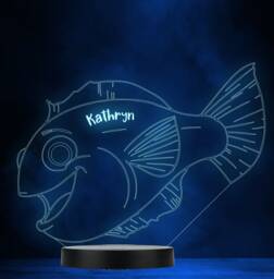 Smiling Fish Personalised Gift Colour Changing Led Lamp Night Light - thumbnail 1