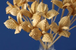 Bouquet Of Straw Flowers Set Flower & Vase Dried Minimalist Straw Bouquet 7 Stems With 3 On Each - thumbnail 1