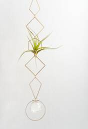 Vert Air Plant Display - I, Holder Wall Crystal, Geometric Hanger, Brass Wall, Housewarming Gift Planter