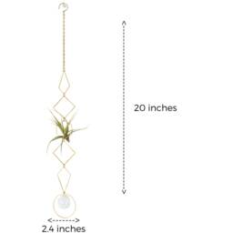 Vert Air Plant Display - I, Holder Wall Crystal, Geometric Hanger, Brass Wall, Housewarming Gift Planter - thumbnail 2