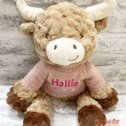 Personalised Keel Eco Recycled Baby Highland Cow Teddy Bear 10 Inch 26cm Knitted Jumper Embroidered With A Name/Text Newborn Boy Girl Gift - thumbnail 2
