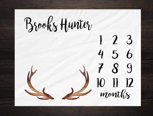 Baby Milestone Blanket Month Growth Tracker Fleece Shower Tribal Newborn Gift Minky Boy Rustic Nursery - image 1