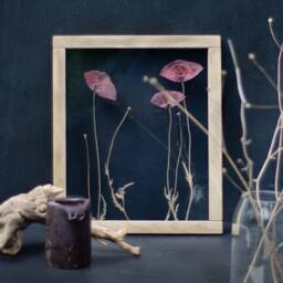 Pressed Poppy Flower - Wall Decor 10.5x12.5 - thumbnail 4