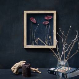 Pressed Poppy Flower - Wall Decor 10.5x12.5 - thumbnail 3