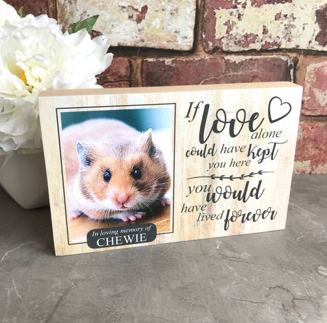 Hamster Memorial Gift, Gerbil Memorial, Mouse Pet Frame, Plaque, Photo Dog Picture Frame - image 1