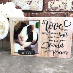 Hamster Memorial Gift, Gerbil Memorial, Mouse Pet Frame, Plaque, Photo Dog Picture Frame - thumbnail 4