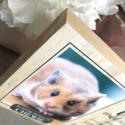 Hamster Memorial Gift, Gerbil Memorial, Mouse Pet Frame, Plaque, Photo Dog Picture Frame - thumbnail 2