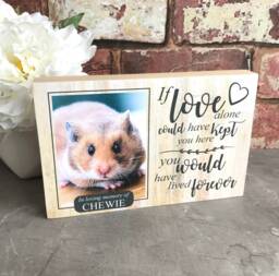 Hamster Memorial Gift, Gerbil Memorial, Mouse Pet Frame, Plaque, Photo Dog Picture Frame
