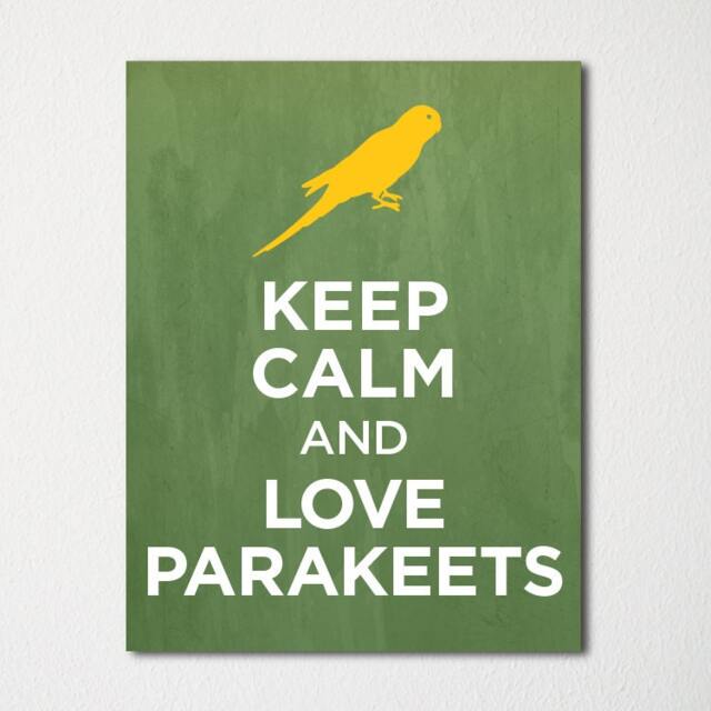 Keep Calm & Love Parakeets - Fine Art Print Choice Of Color Purchase 3 Receive 1 Free - image 1