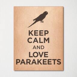 Keep Calm & Love Parakeets - Fine Art Print Choice Of Color Purchase 3 Receive 1 Free - thumbnail 2