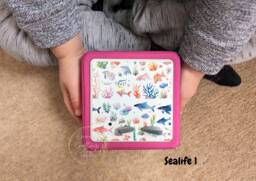 Sealife Toniebox Topper Protective Vinyl Sticker, Ocean Fish Design Tonie Box