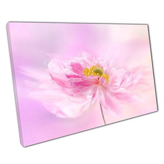 Radiant Pink Floral Canvas Elegant Sunlit Wall Art For Home & Office Decor, Ready To Hang - image 1