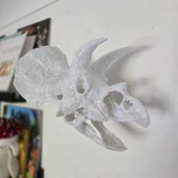 Triceratops Skull Wall Art - Dinosaur Fossil Sculpture 3D Printed - thumbnail 1