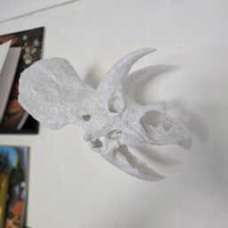 Triceratops Skull Wall Art - Dinosaur Fossil Sculpture 3D Printed - thumbnail 3