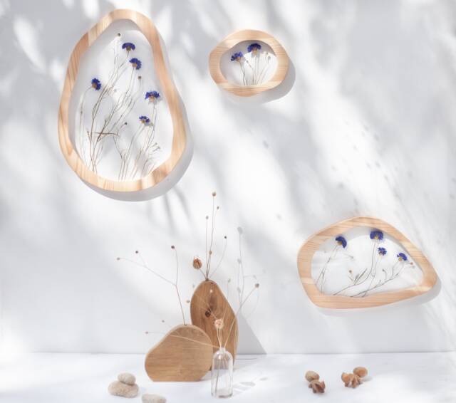 Cornflowers Set - Pressed Flower Frames Wavy Pressed Flower Art Wall Decor Herbarium Frame Botanical - image 1