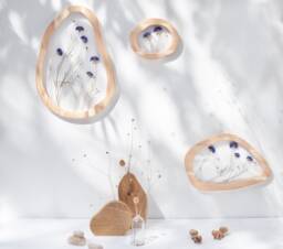 Cornflowers Set - Pressed Flower Frames Wavy Pressed Flower Art Wall Decor Herbarium Frame Botanical - thumbnail 1
