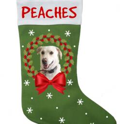 Pet Photo Christmas Stocking, Personalized With A Name & Of Your Choice - thumbnail 3