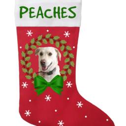 Pet Photo Christmas Stocking, Personalized With A Name & Of Your Choice - thumbnail 2
