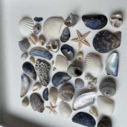 Cornish Blue/White Coastal Square Wall Art Framed Shell Picture Bathroom Decor Handmade in Cornwall - thumbnail 2