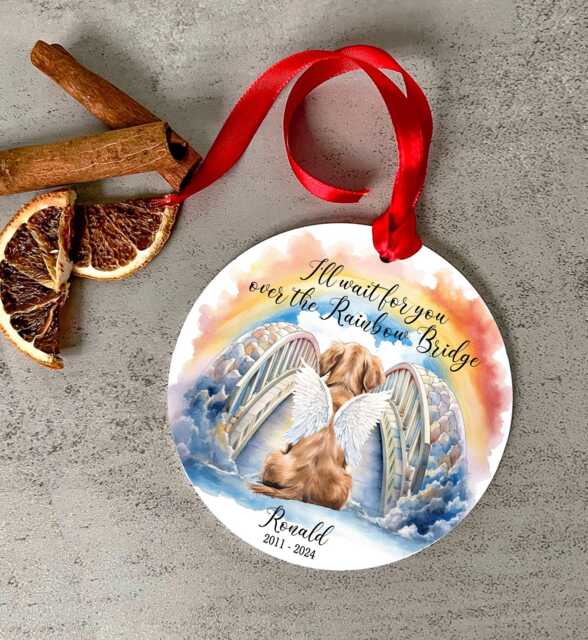 Dog Memorial Gift, Memorial Bauble, Rainbow Bridge, Pet Ornament, Portrait Cat Personalised Christmas Gift, Decoration Acrylic Bauble - image 1