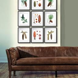 Antique Botanical Art Wall Hanging Conifers Print #12 Pinecone Winter Woodland Decor Christmas 8x10 - thumbnail 3