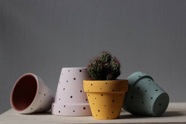 Hand Painted Terracotta Plant Pot Custom Color Dots, Drainage & Saucer - image 1