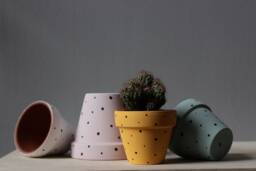 Hand Painted Terracotta Plant Pot Custom Color Dots, Drainage & Saucer - thumbnail 1