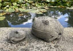 Reconstituted Stone Garden Pair Of Toad Ornaments - thumbnail 1