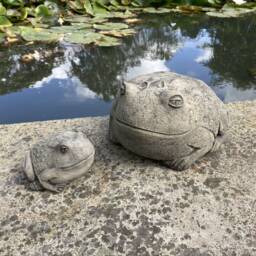 Reconstituted Stone Garden Pair Of Toad Ornaments - thumbnail 3
