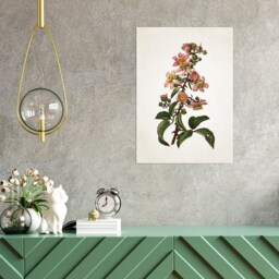 Antique Botanical Art Print Poster Vintage Wall Flowers Floral Bramble Blackberry Nature Leaf Plant Illustration Victorian Beautiful A3 - thumbnail 2