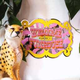 The Funky Funhouse Mirror - thumbnail 4