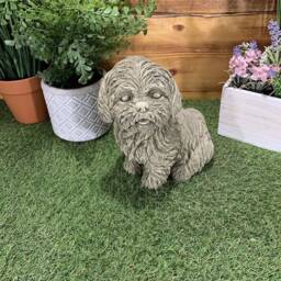 Stone Garden Detailed Happy Sitting Shih Tzu Dog Gift Statue Ornament - thumbnail 3